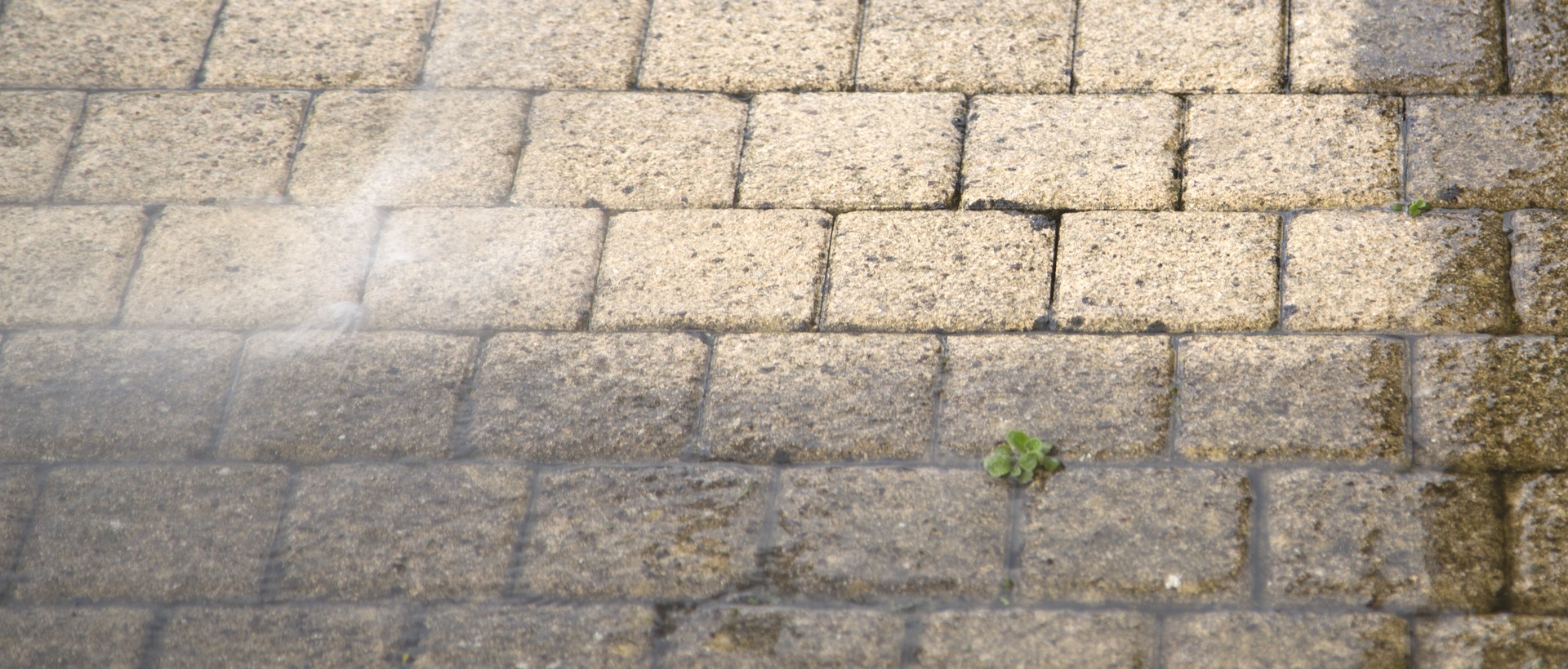 flagging and patios W10