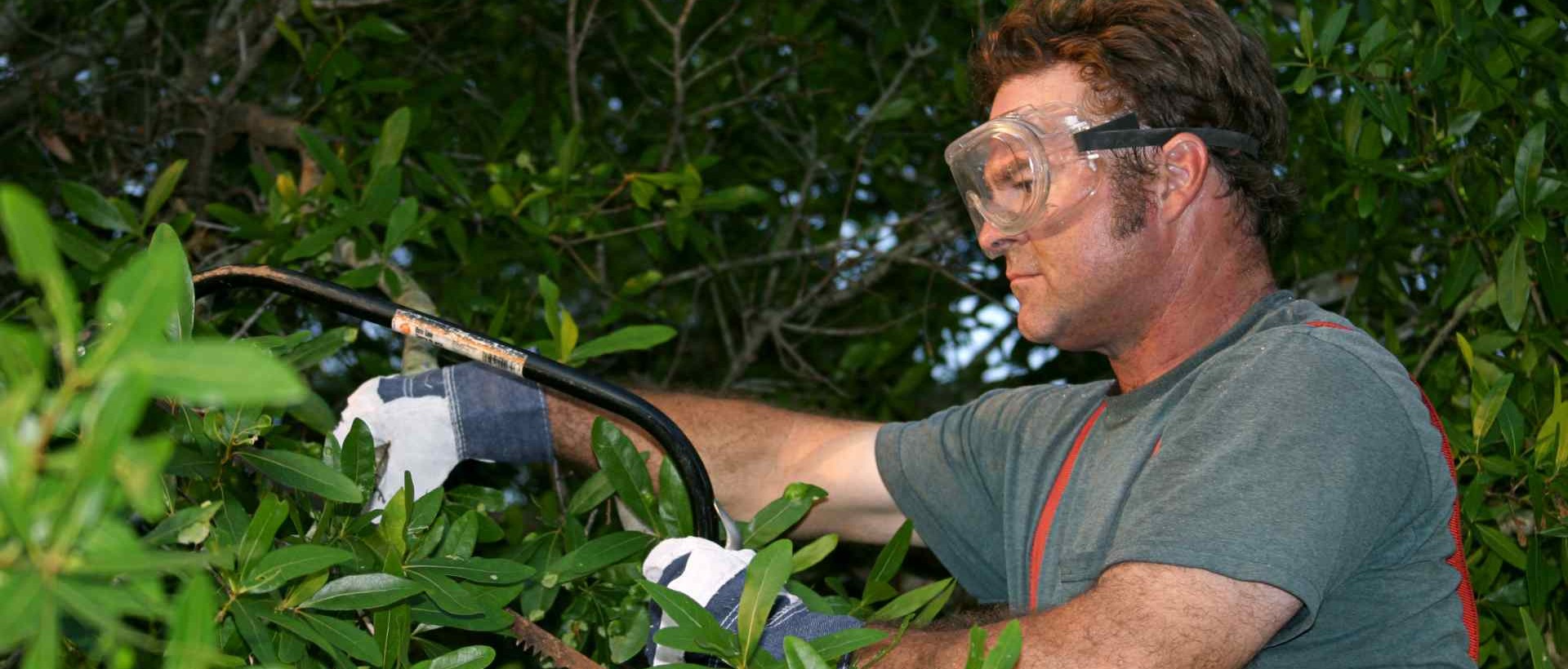 garden clearance W10